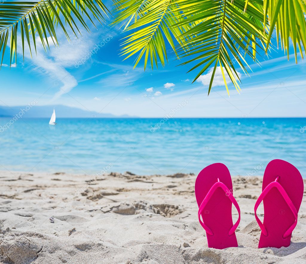 Pink flip flops under a palm tree — Stock Photo © AlKan32 #122206712