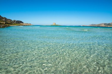 mavi deniz La Pelosa Beach