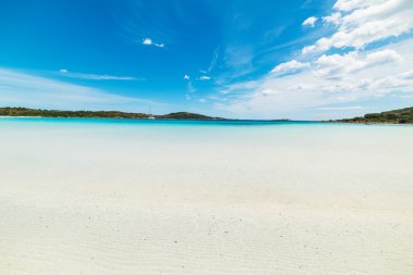 Cala Brandinchi, Sardunya beyaz kum