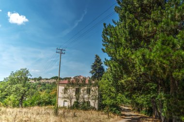 Burgos ormandaki eski ev