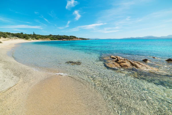 Sziklák és homok La Celvia Beach — Stock Fotó