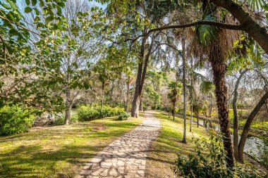 Madrid, İspanya 'daki güzel Buen Retiro parkında taş yol
