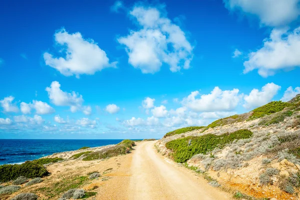 Camino Tierra Junto Mar Costa Argentiera Cerdeña Italia —  Fotos de Stock