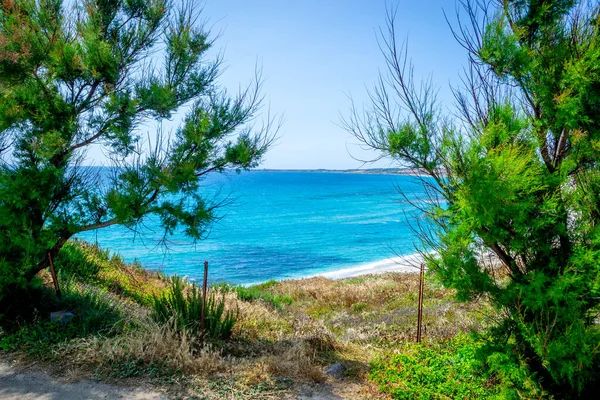 ジョバンニ シニス海岸の海の緑の植物 サルデーニャ イタリア — ストック写真