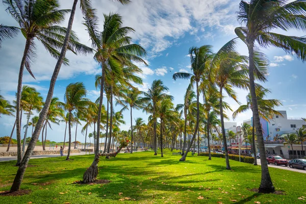 Miami Beach Usa Února 2019 City Life Ocean Drive South — Stock fotografie