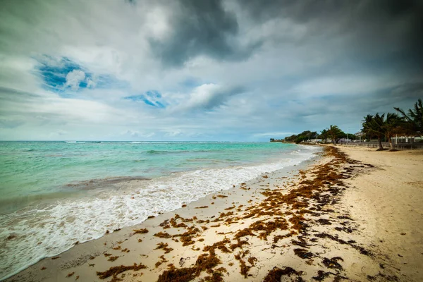 Nubes Oscuras Sobre Las Pasas Playa Clairs Guadalupe Antillas Menores — Foto de Stock