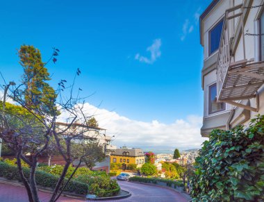 San Francisco 'daki dünyaca ünlü Lombard caddesinde mavi gökyüzü. Kaliforniya, ABD