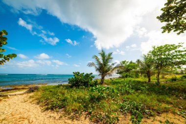 Guadeloupe, Karayip Denizi 'ndeki Autre Bord plajında bulutlar