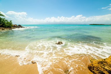 Güzel Bas du Fort sahilinde renkli bir sahil. Guadeloupe, Karayip Denizi