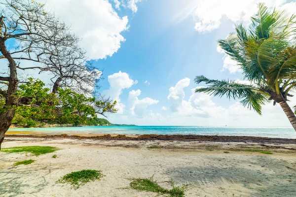 Fehér Felhők Felett Pointe Saline Strand Guadeloupe Karib Tenger — Stock Fotó