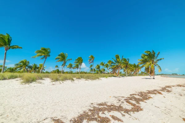 Cielo Azul Sobre Smathers Beach Key West Estados Unidos — Foto de Stock