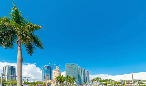 Блакитне Небо Над Центром Маямі Сша — стокове фото