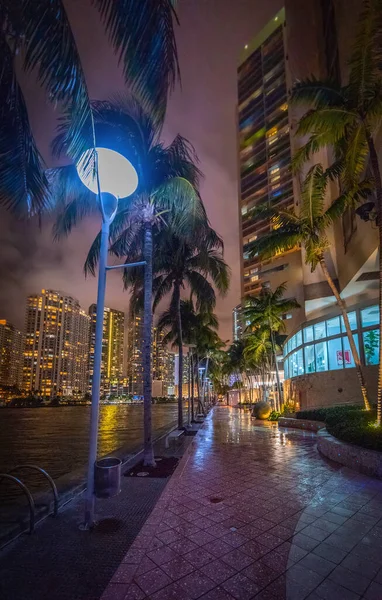 Noci Procházka Řece Miami Jižní Florida Usa — Stock fotografie