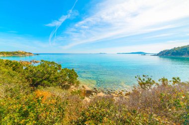Punta Molentis plajında renkli bir sahil. Sardunya, İtalya