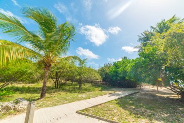Guadeloupe, Karayip denizindeki sahile giden yol.