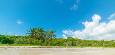 Guadeloupe, Batı Hint Adaları 'ndaki Pointe de la Saline sahilinde mavi gökyüzü. Daha Küçük Antiller, Karayip Denizi