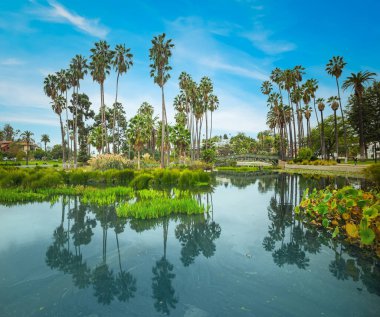 Echo Park Gölü, Los Angeles 'ta güneşli bir gün. Güney Kaliforniya, ABD
