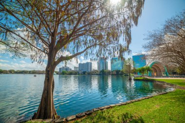 Trees and green meadow in Lake Eola park in Orlando. Central Florida, USA clipart