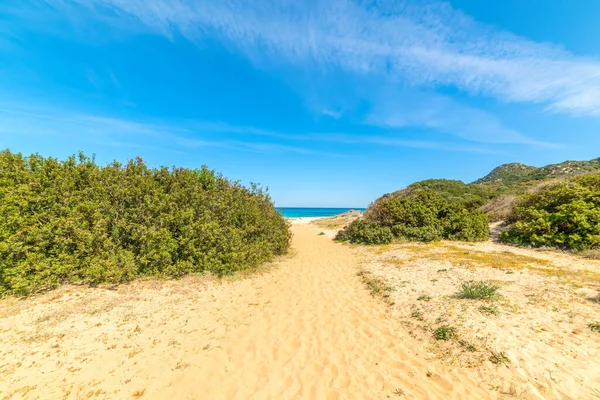 Camino Playa Cala Pira Cerdeña Italia —  Fotos de Stock