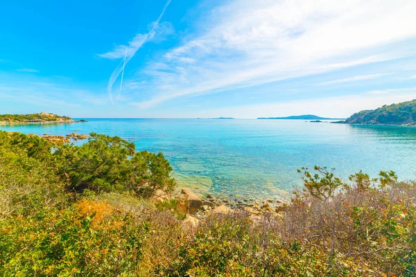 Colorful Shore Punta Molentis Beach Sardinia Italy — Stock Photo, Image