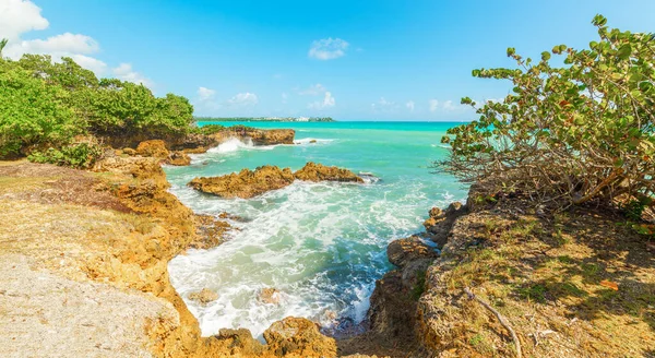 瓜德罗普岛Bas Fort的岩石海岸和绿松石水 小安的列斯群岛 加勒比海 — 图库照片