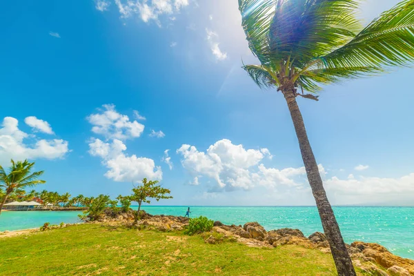 Färgglada Stranden Vackra Bas Fort Stranden Guadeloupe Karibiska Havet — Stockfoto