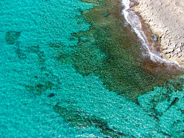 アルゲロ澄んだ水と岩の海岸の空中ビュー サルデーニャ イタリア — ストック写真