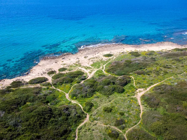 Зеленые Растения Синее Море Берегу Альгеро Фелиния Италия — стоковое фото