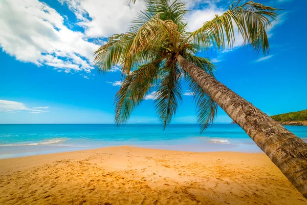 Strand Perle Unter Einem Bewölkten Himmel Guadeloupe Karibik — Stockfoto