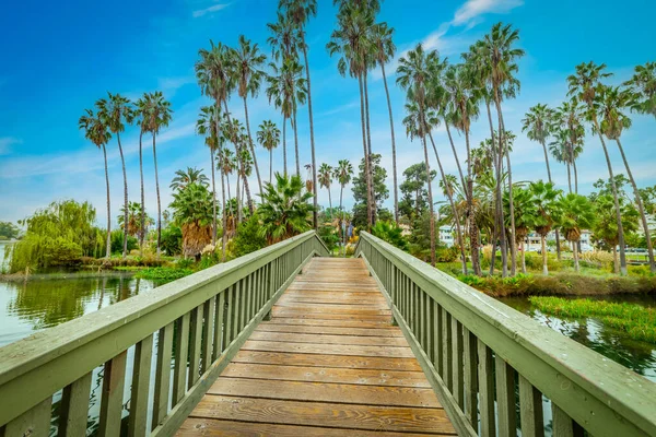 Mavi Gökyüzünün Altında Echo Park Gölü Nde Küçük Bir Köprü — Stok fotoğraf