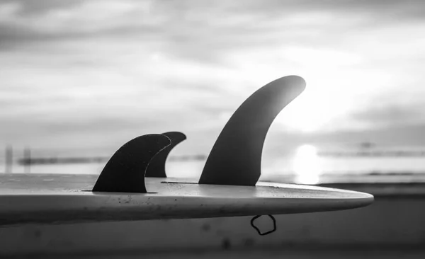 Detalhes Barbatanas Prancha Junto Mar Pôr Sol Efeito Preto Branco — Fotografia de Stock