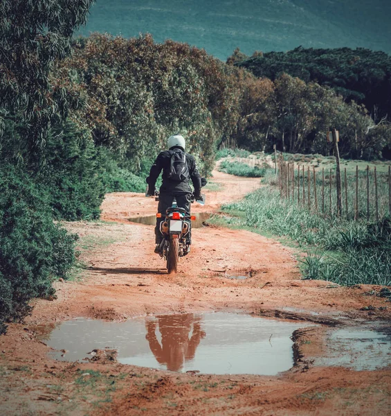 Rückansicht Eines Radfahrers Der Einem Sonnigen Frühlingstag Auf Einem Feldweg — Stockfoto