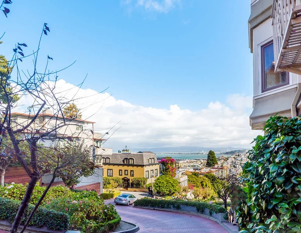 San Francisco Bay Seen World Famous Lombard Street California Usa — Foto Stock