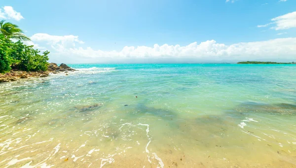 フォート海岸のターコイズブルーの水と青い空 カリブ海のグアドループ — ストック写真