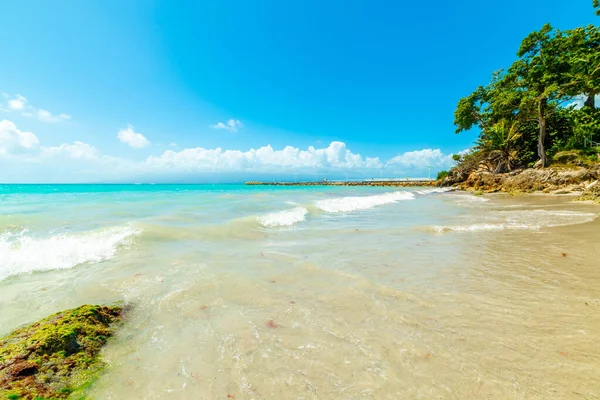 Strand Van Datcha Een Zonnige Dag Guadeloupe Caribische Zee — Stockfoto