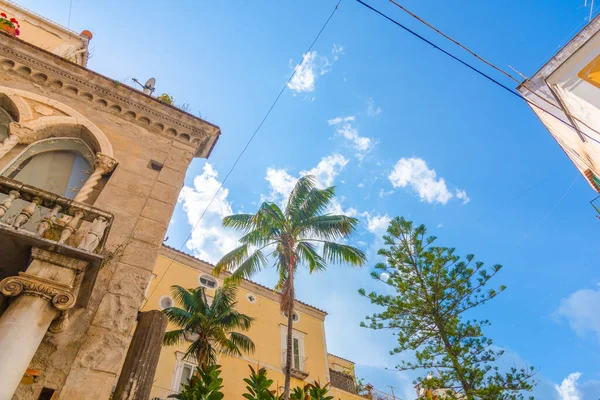 Palm Trees Historic Buildings Amalfi Blue Sky Italy — Stock Photo, Image