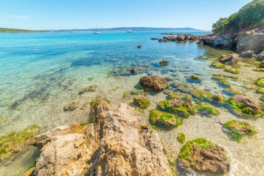 Alghero 'daki Lazzaretto sahilinde kayalık bir sahil. Sardunya, İtalya