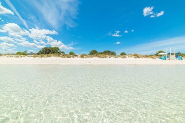Cala Brandinchi 'de kristal berrak su ve beyaz kum. Sardunya, İtalya