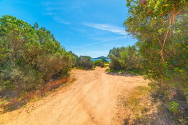 Sahile giden yol. Sardunya, İtalya