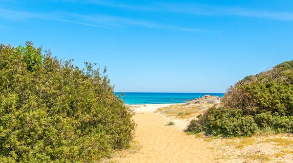 Ciel Bleu Dessus Rivage Cala Pira Sardaigne Italie — Photo