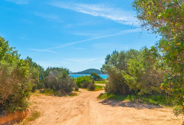 Kıyıda mavi gökyüzü. Sardunya, İtalya
