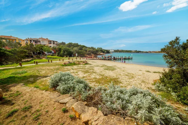 Porto Cervo Kıyısında Turkuaz Sardunya — Stok fotoğraf