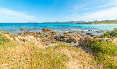 Kaya kıyısı ve turkuaz su. Sardunya, İtalya