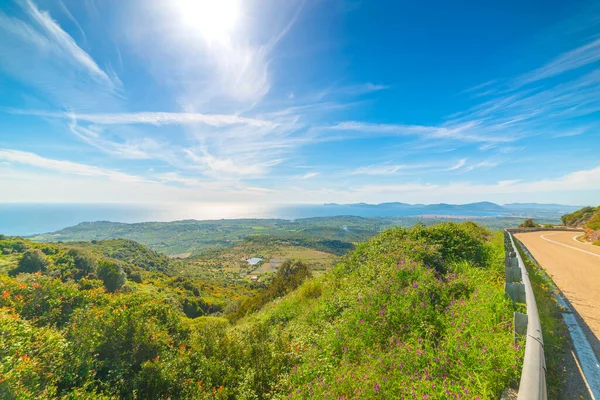 Landweg Sardinië Een Zonnige Dag Italië — Stockfoto