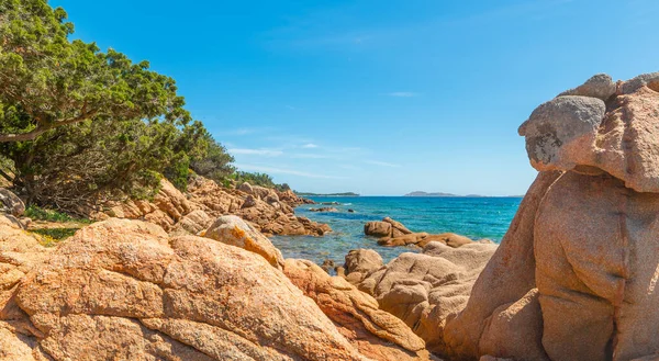 Batu Tepi Pantai Pada Hari Yang Cerah Sardinia Italia — Stok Foto