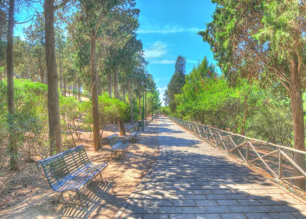 Camino en el bosque — Foto de Stock