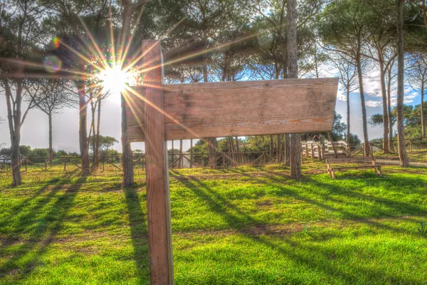 Signo al atardecer —  Fotos de Stock