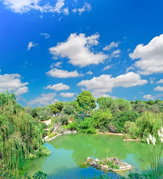 Teich unter Wolken — Stockfoto