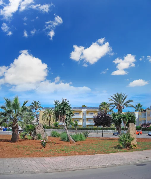 Mallorca palms — Stockfoto