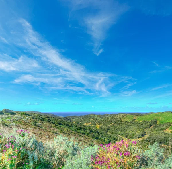 Linia brzegowa w hdr — Zdjęcie stockowe